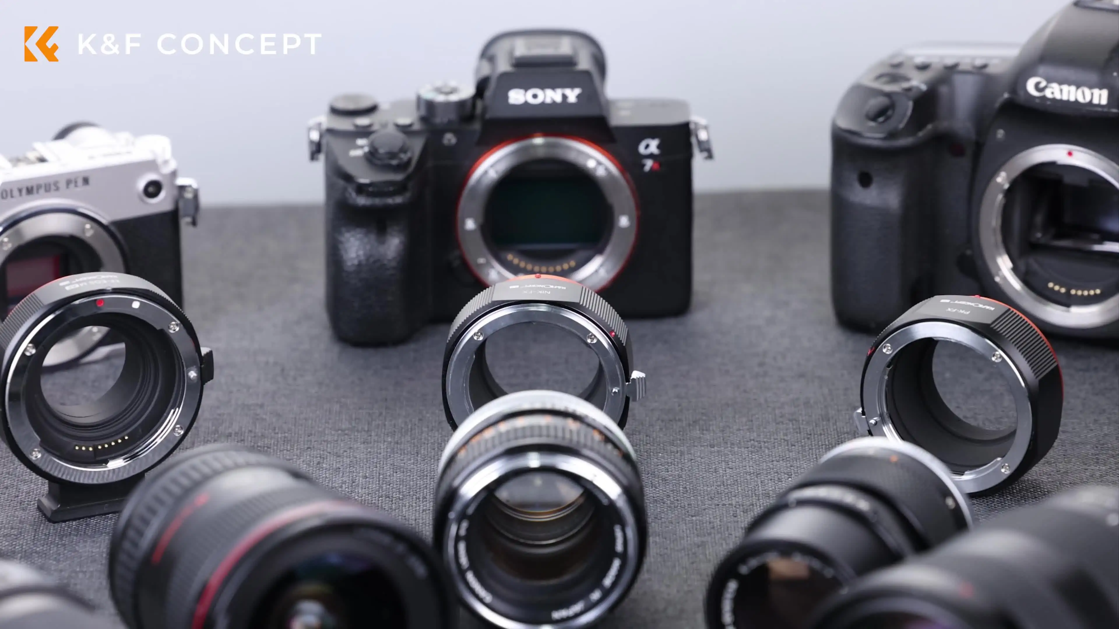 Adaptateur EF vers EOS R - K&F Concept - mise au point auto - Canon EF EF-S à Canon EOS R/RF