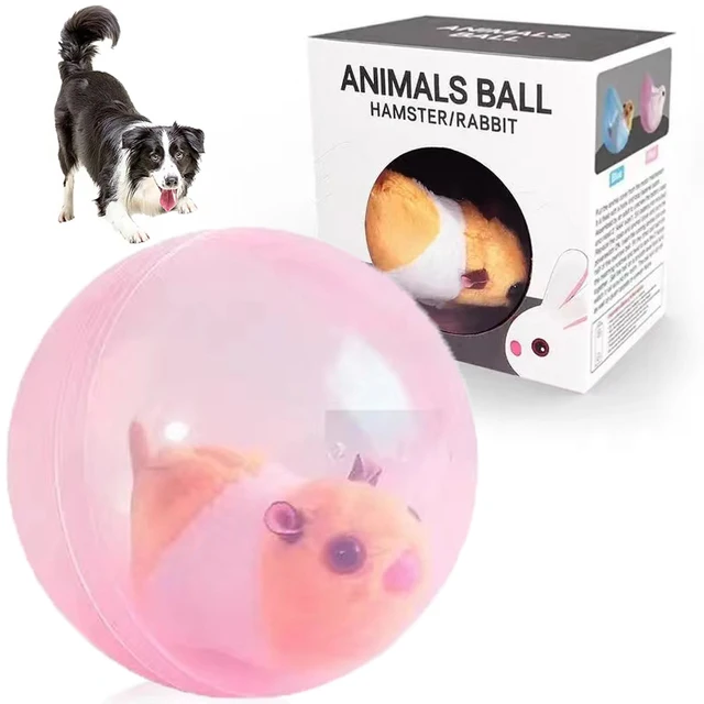 Dog Ball Toys For Small Medium Large Dogs Automatic Rolling Busy Ball  Interactive Dog Ball Funny Chaser Puppy Toys Pet Supplies - Dog Toys -  AliExpress