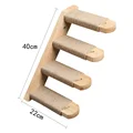 1pc ladder  right