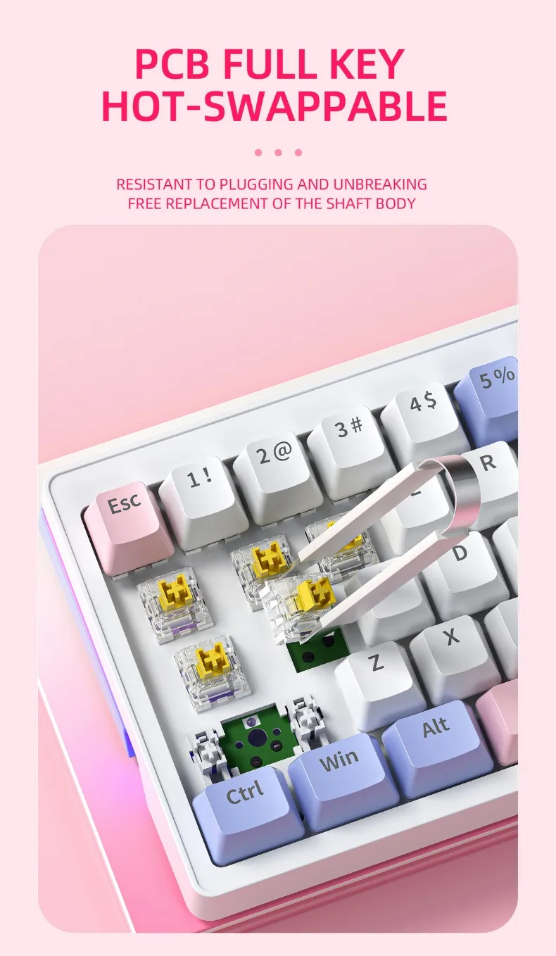 Computers e Electronics