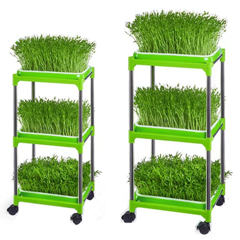 SoillessCultureSproutVegetableSeedlingTrayShelfHydroponicsRack