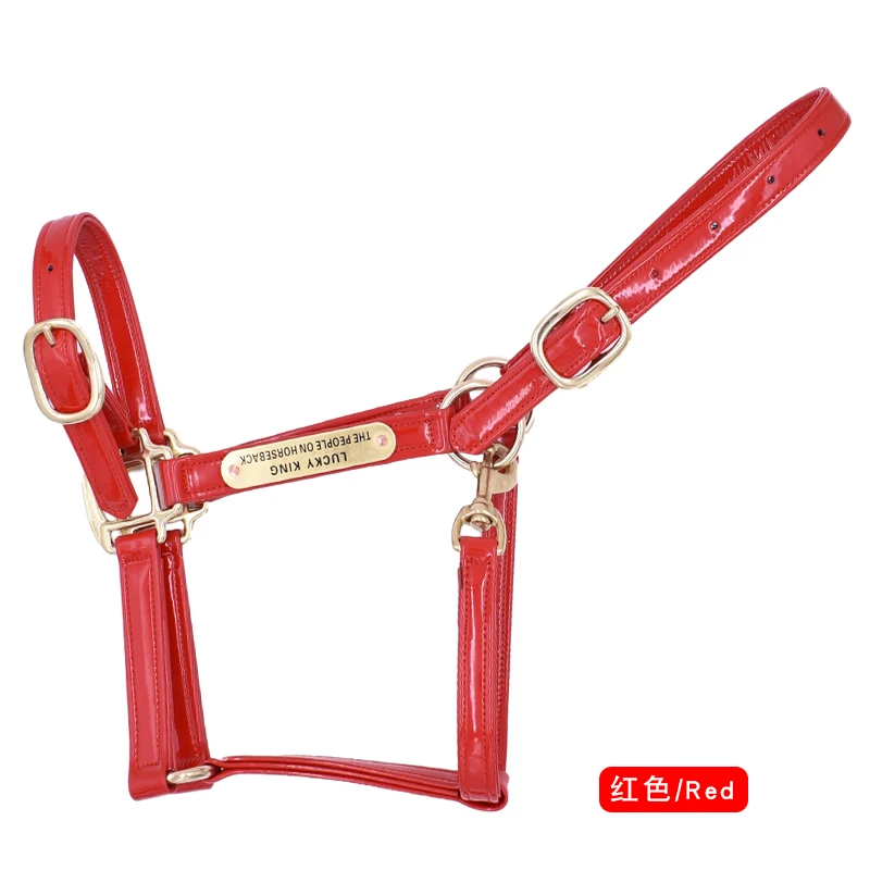 S1f81c1367d334f91863a06e632440c07a