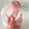 Nylon Grow Fruit Protection Bags With Drawstring For Protecting Plant Flower Vegetable Reusable Mesh Protect Bag Pest Control 2