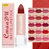 rouge a levre 15 couleurs, maquillage Sexy femme velours mat