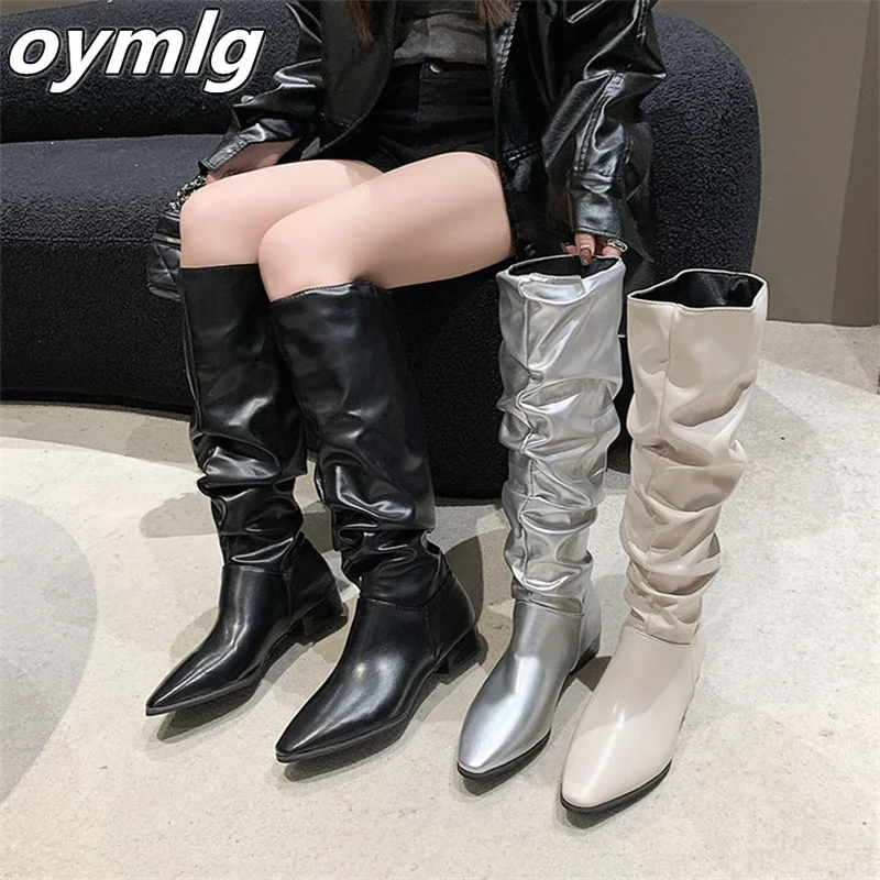 Pointed Pleated High Barrel Long Boots for Women's Autumn 2023 New Fashion Boot