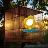 Bird Mirror For Cage Parrot Toys Mirror Cockatiel Perch Chewing Flower Shape Enrichment Stand Pet Supplies Cockatiel Cage 3