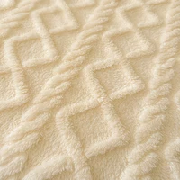 1pc Coral Fleece Blanket for Winter Thick Soft Bedspread Warm Plaids for Beds Single/Queen/King Solid Color Thow Blankets/Plaids 2