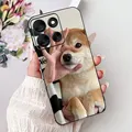 763