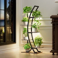 Curved Shape multi-functional metal display stand for plants