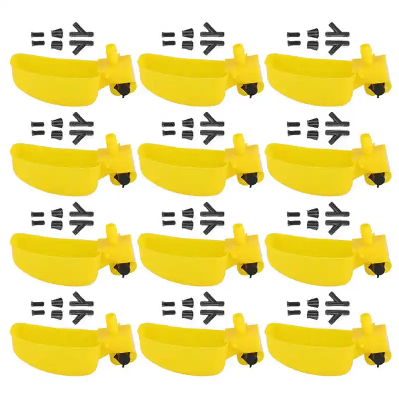 368562-562847.jpg