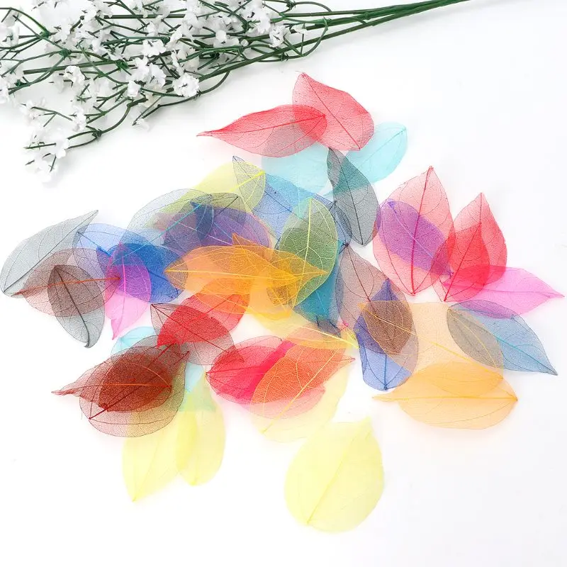 

50 Pieces Natural Ficus Religiosa Leaves Exquisite Mixed Colors Skeleton Leaves