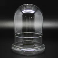 Creative Glass Cover Dome Glass Bottles Succulent Glass Vase Micro Succulent Moss Landscape Glass Terrarium Home Decoration - Image 3