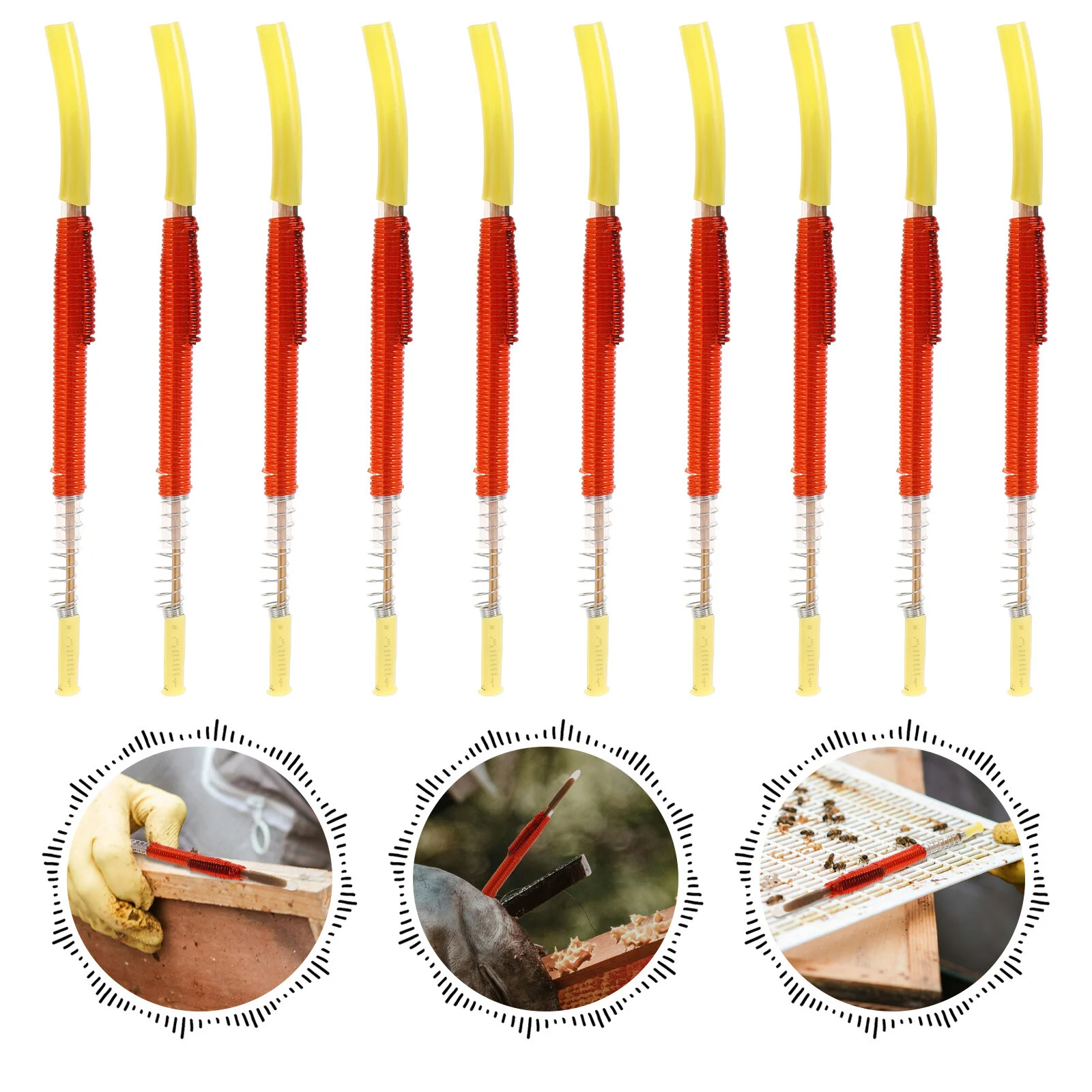 10 Pcs Bee Transplant Needle Bees Worm Grafting Tool Horns Transfer Beekeeping Tools Moving Accessory