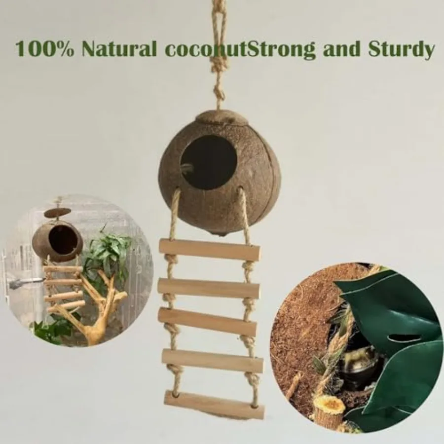 Crested Gecko Tank Set 3