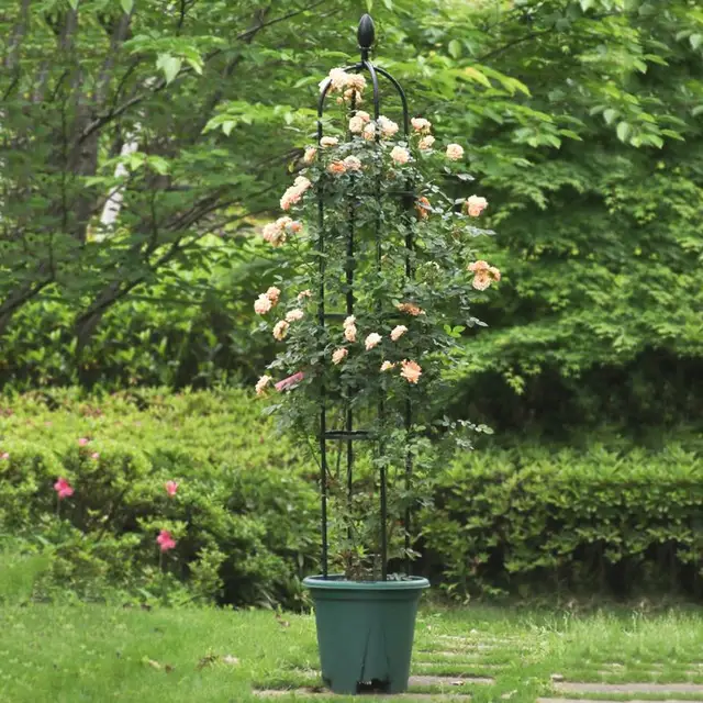 Kert Obeliszk Fém Rácsos 3 Méret Pe Bevonat Acél Virág Tartó Mászó Növények 10 Hüvelyk Átmérőjű Keret Ketrechez - Image 3