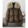 Winter New Fur Collar Puffer Down Parka Loose Down Warmer Thicken Snow Jacket Pocket Zipper Faux Fur Outerwear Female 1