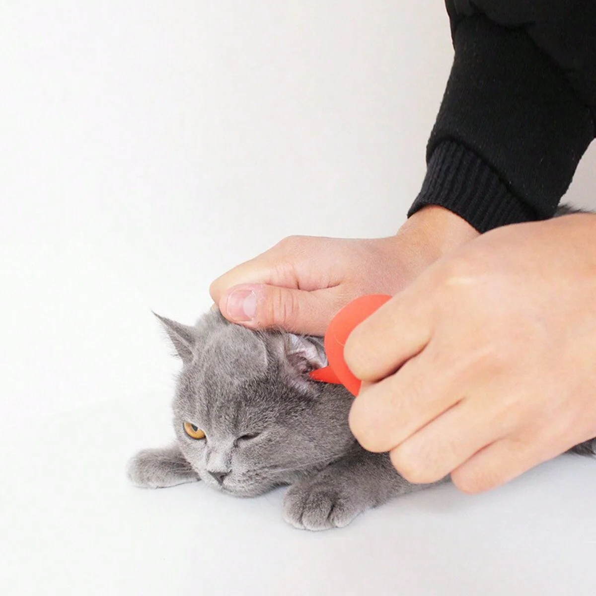1pc-Pet ear cleaner, suitable for cat nose care
