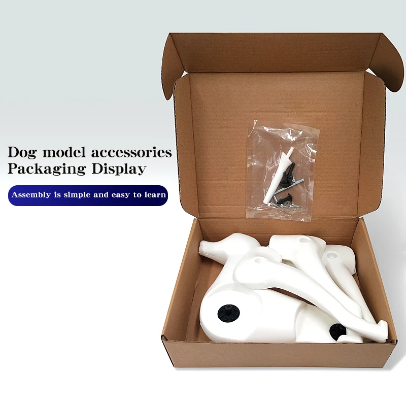Bichon dog pet professional beauty simulation wig model practice special skeleton environmentally friendly PE material scissors