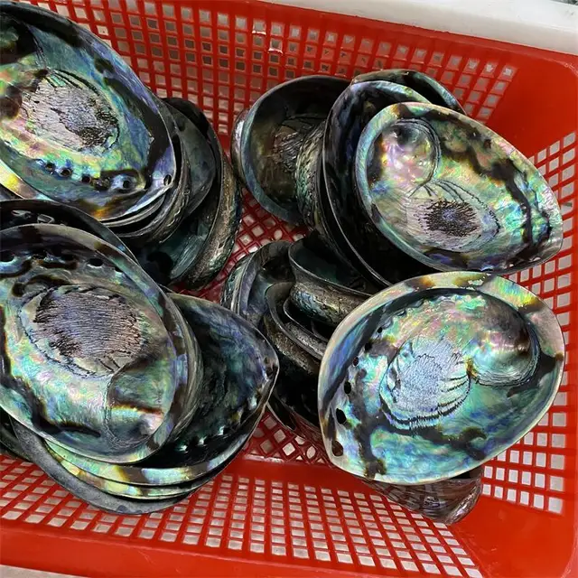 Kiváló Minőségű Kagyló, Mint Karácsonyi Díszek Ajándéka A Gyerekeknek Vagy Az Otthoni Szoba Reiki Dekoráció 1Db - Image 4