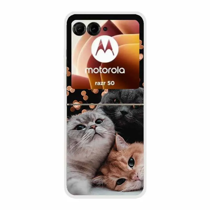 Cartoon Design Transparent Hard Plastic Back Cover Case