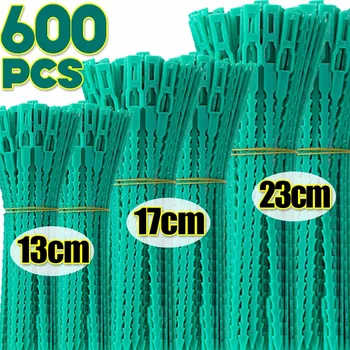 Fascette per cavi per piante in plastica regolabili Fascette autobloccanti riutilizzabili Supporti per piante da giardino Fascette per cavi Attacco per clip per pomodoro 1