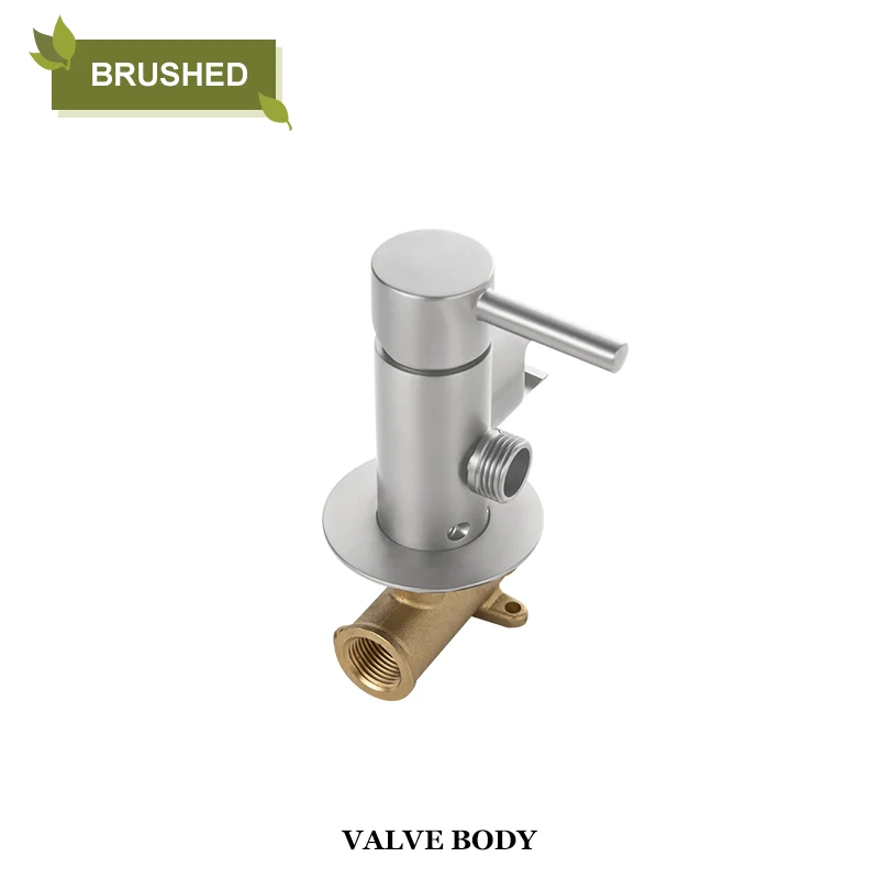 Brushed Valve Body