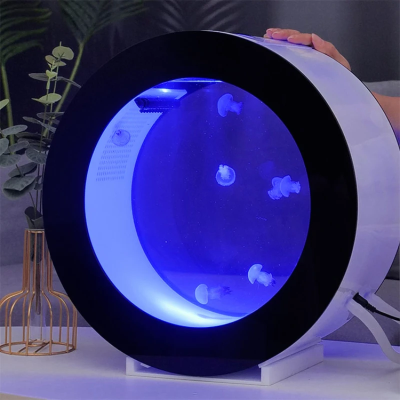 Desktop Jellyfish Tank Review