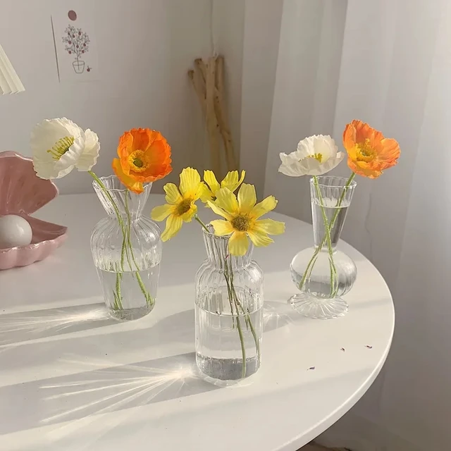 1pc vasi trasparenti creativi nordici per bottiglia di piante vaso di fiori terrario idroponico disposizione contenitore vaso da tavolo per fiori 4