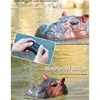 2.4GHZ Remote Control Hippo Double Propeller Waterproof Simulation Swimming Animal Robot Toy Birthday Gift for Children 4