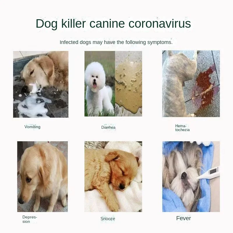 Dog test paper dog coronation test paper dog sleepiness fever diarrhea vomiting stool blood quick