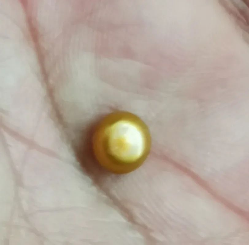 Around 7.12x4.811mm champagne gold bottom loose pearl full drilled for necklace earring bracelet pendant