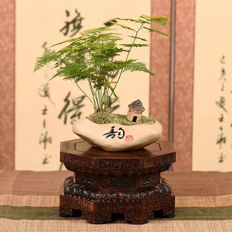 2 Kinds Ebony Bonsai Plant Shelves Standing Flower Base Flowerpot Wooden Sorting Table Log Lathe Display Rack Garden Home Decor
