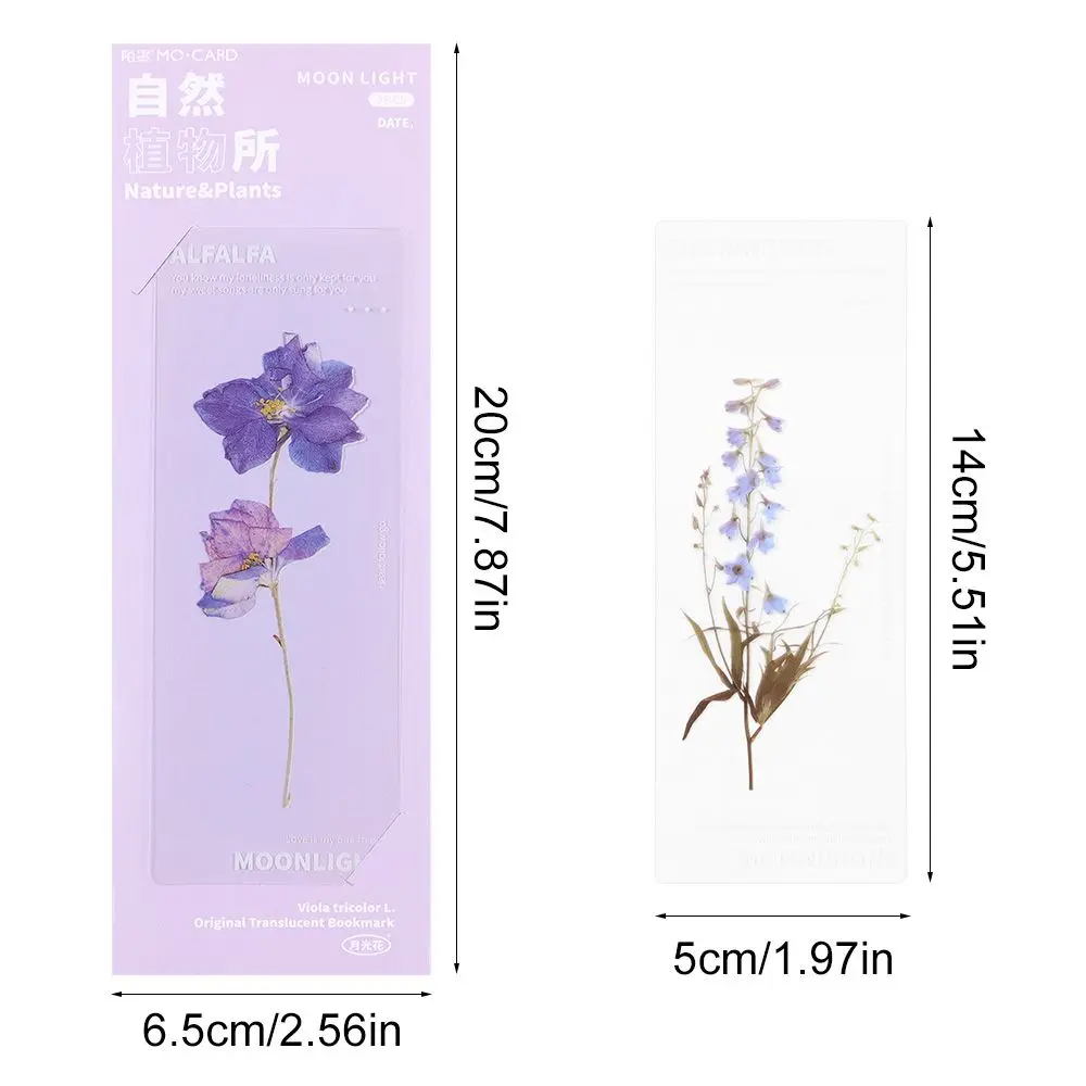 Book Note Marker PET Page Holder Reading Mark Bookmarks Card Translucent Flower Nature Plants Bookmarks Specimen floral painting bookmark,bookmark page holder,bookmark holder,retro flower bookmark