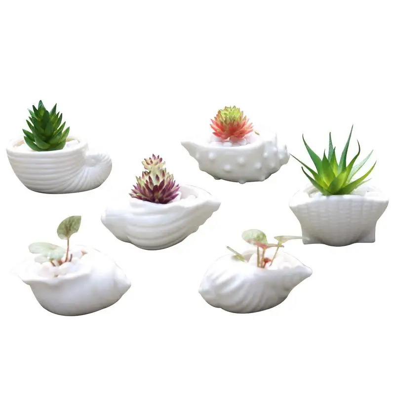 

Succulent Plant Pot 6pcs Conch Shape Cactus Planters Ceramic Flower Pot With Drainage Hole Mini Flower Planter Pot For Patio