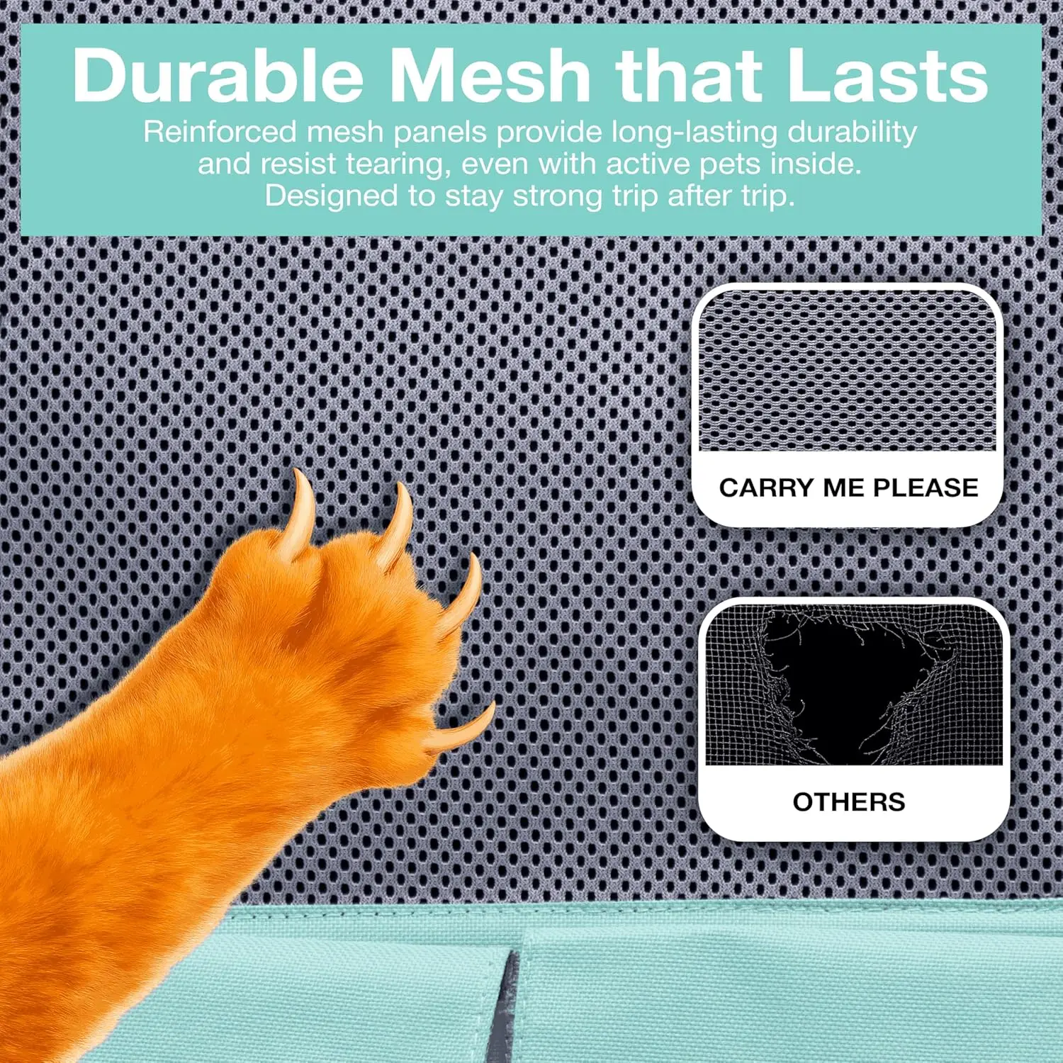 Teal Airline-Approved Backpack Pet Carrier – Travel Bag for Cats & Small Dogs (Up to 22 lbs)