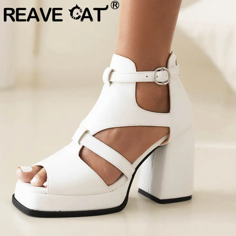 

REAVE CAT Summer Women Sandals Peep Toe Chunky Heels Zipper Buckle Strap Platform Big Size 41 42 43 Fashion Elegant Female Shoes