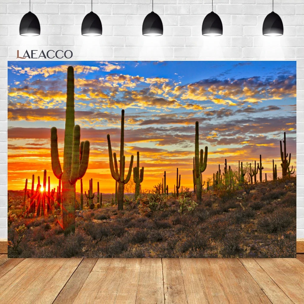Laeacco 사암 사막 산악 배경, 푸른 하늘 흰 구름 선인장 자연 풍경, 성인 초상화 사진 배경