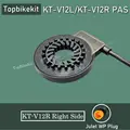 KT V12R WP Plug