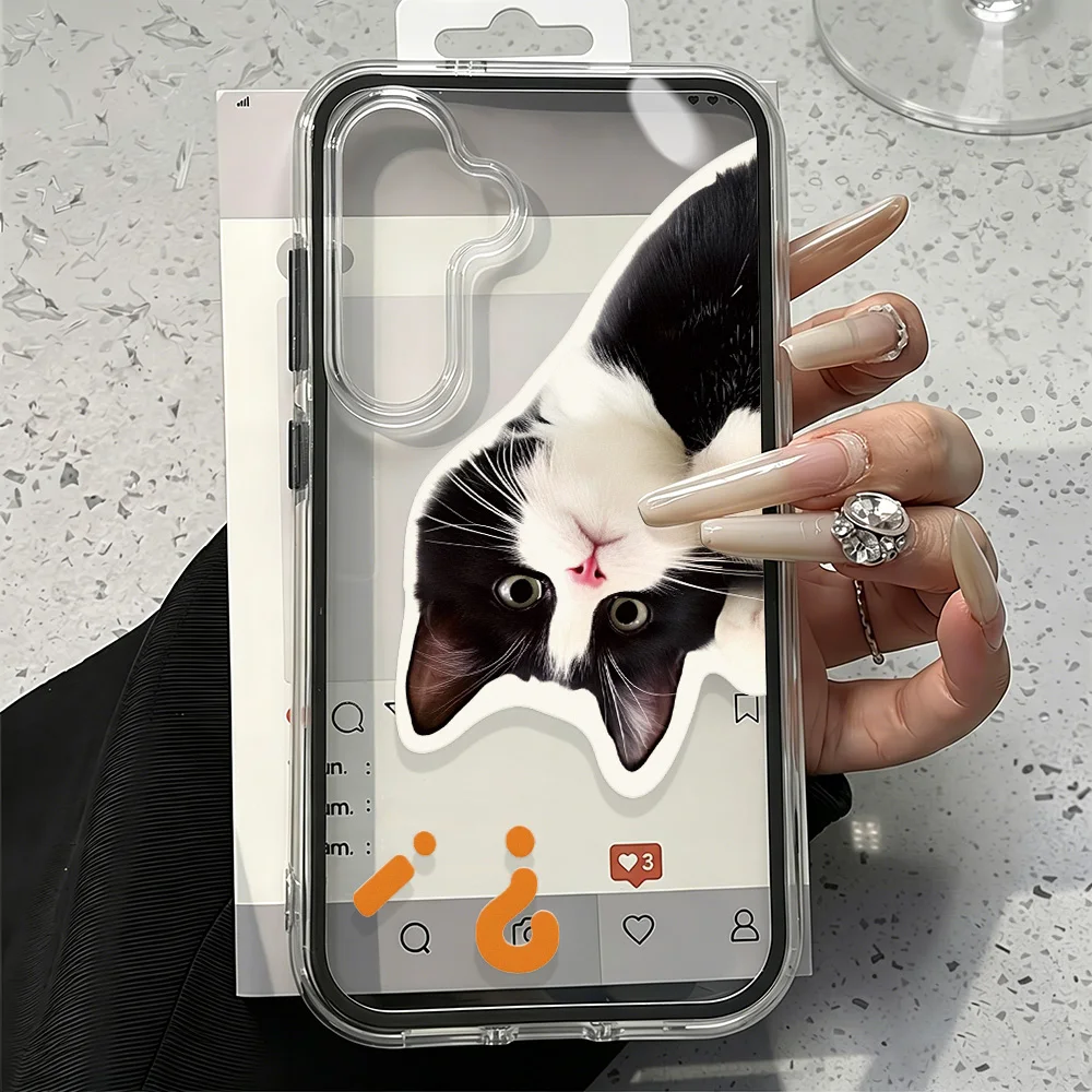 Cute Cat Design Dual-Layer Protective Phone Case