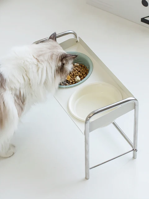 Adjustable Stainl Steel Cerc  Bowl for Small Dogs Sloped Mouth Heightened Ne Protection  Food Basin