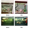 Fish tank water purification agent Water quality clarifier aquarium cleaning liquid water purification treasure sterilization 4
