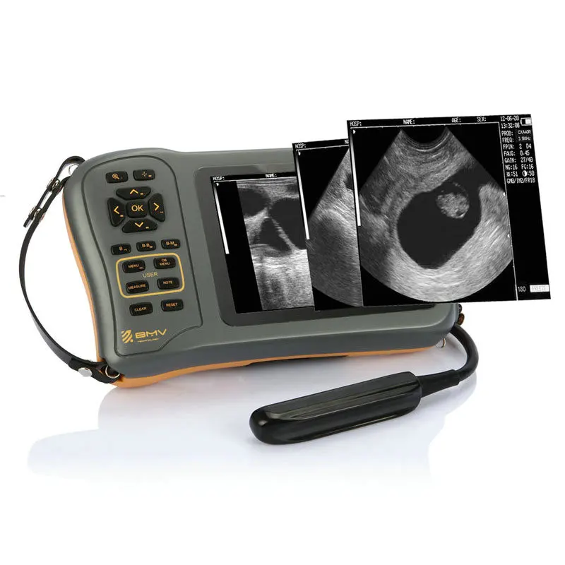 

BMV Farmscan L60 pig cattle cow bovine equine pregnancy veterinary equipment for large animals