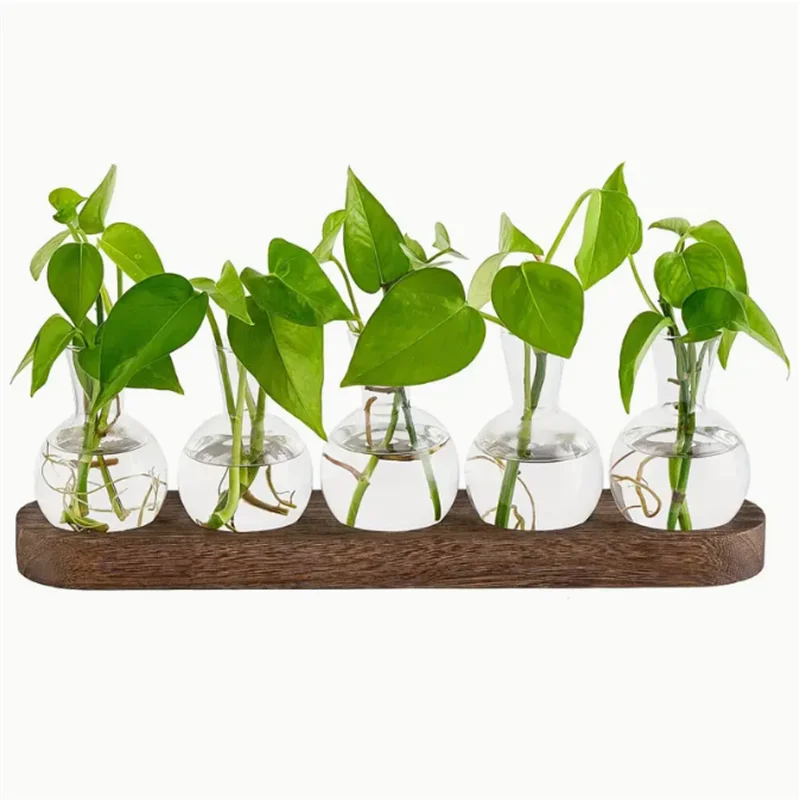 

Hydroponic Plants Container Plant Glass Test Tube Terrariums Vase in Wooden Stand Flower Pots Home Hydroponic Plants Vase
