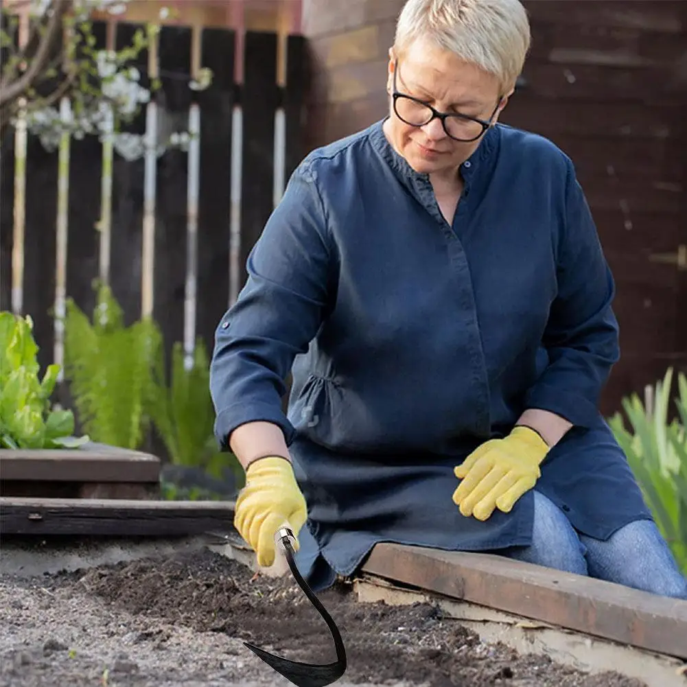 Slide image 87cbda0560ba4c82895b8f3d7208be75