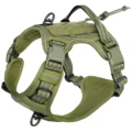 Army green
