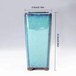Ceramic Succulent Flowerpot for Home and Garden Decor (Blue)