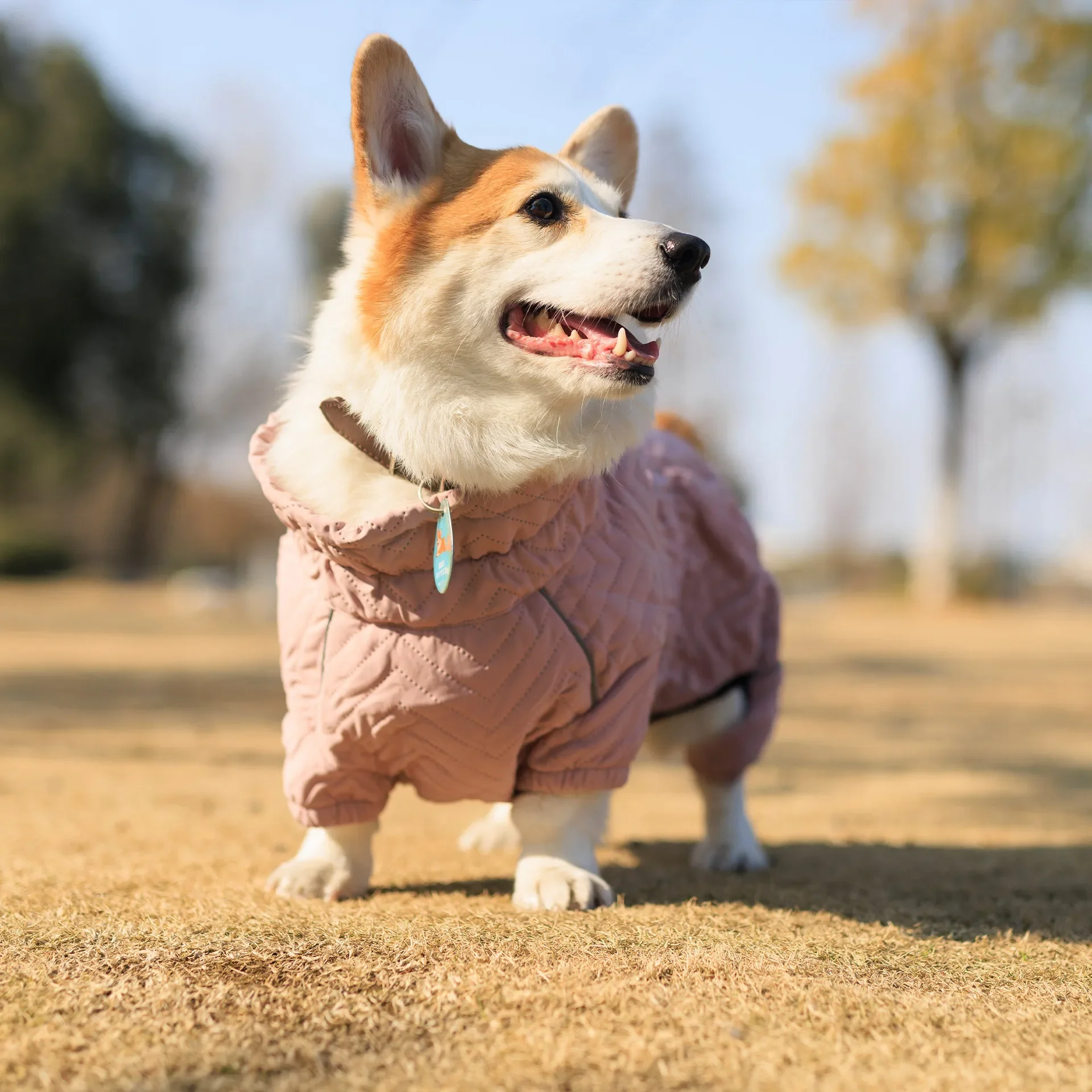 Winter Thickened Windproof Dog Clothes Puppy Outfit Pet Warm Jackets Waterproof Cotton Clothes for Bulldog Big Dogs