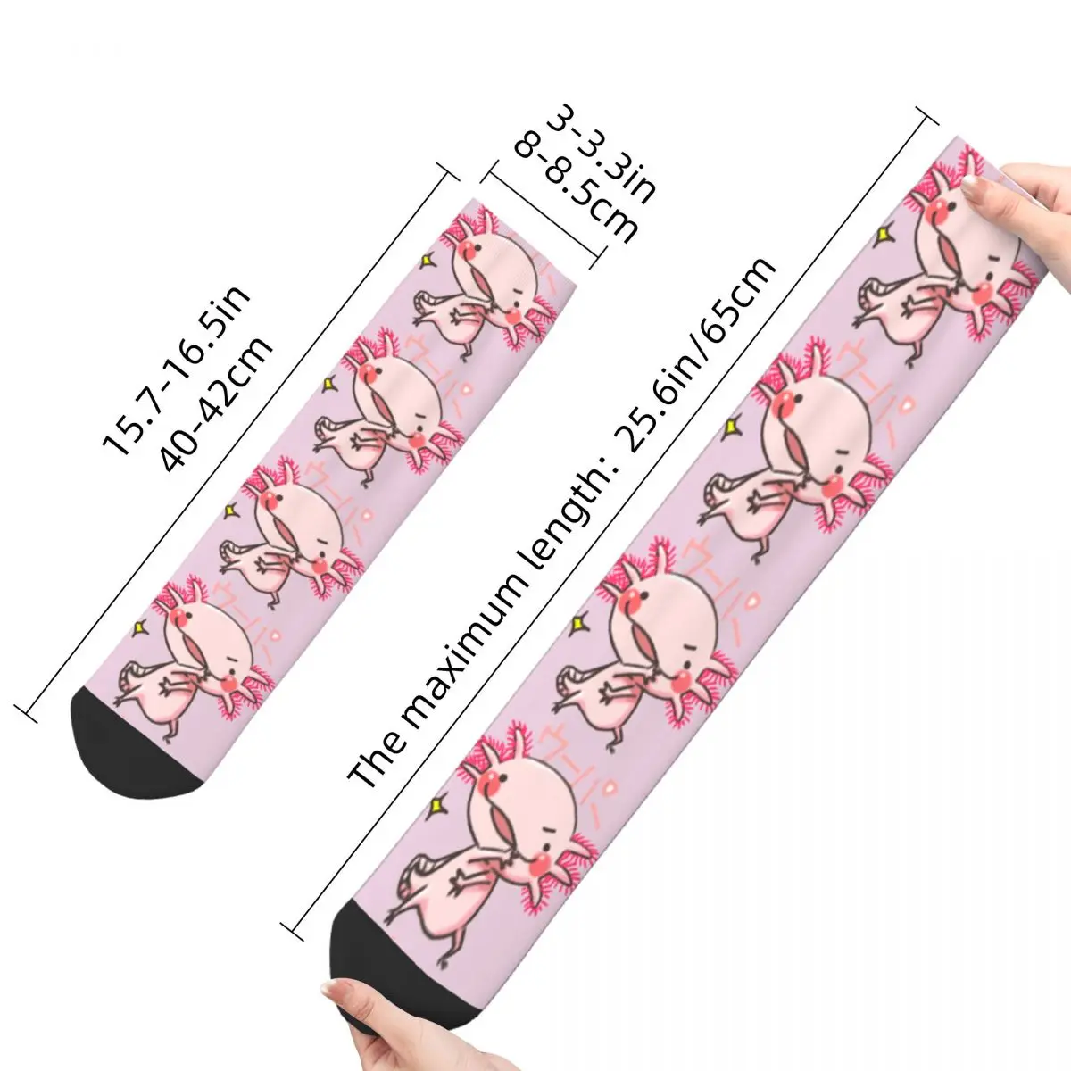  Ʈ ī Ϳ ģ  縻  Axolotl  ϶ Ȱ μ    ũ 縻, ҳ 