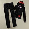 Y2K Women's Pink Velvet Tracksuit 2025 Spring/Autumn Women's Sweatshirt and Pants Sets Velvet Tracksuit Two Piece Sets 3