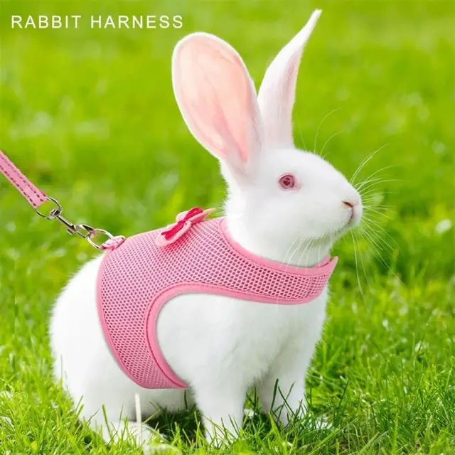 Q1QC Small Animal Harness Leash Set Rabbit Vest Easy Control Harness Pet Walking Gear 2